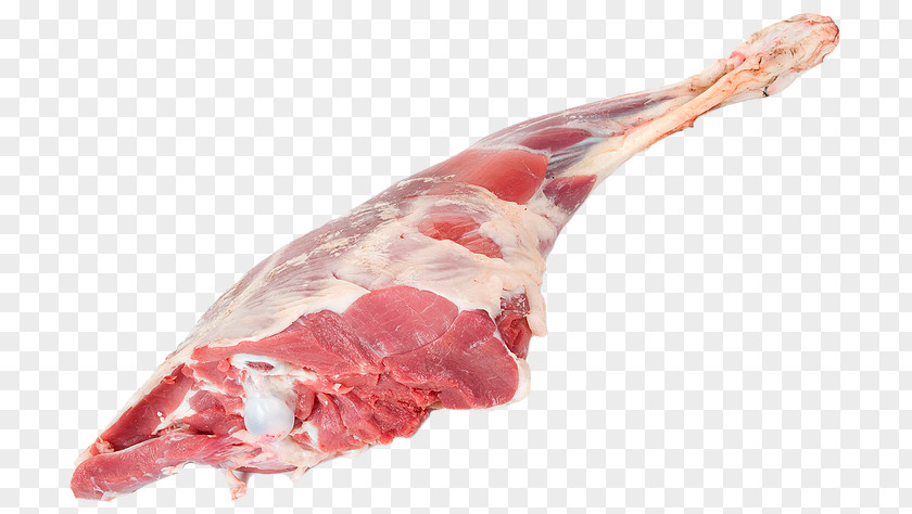 Meat Goat Anglo-Nubian Halal Gosht PNG