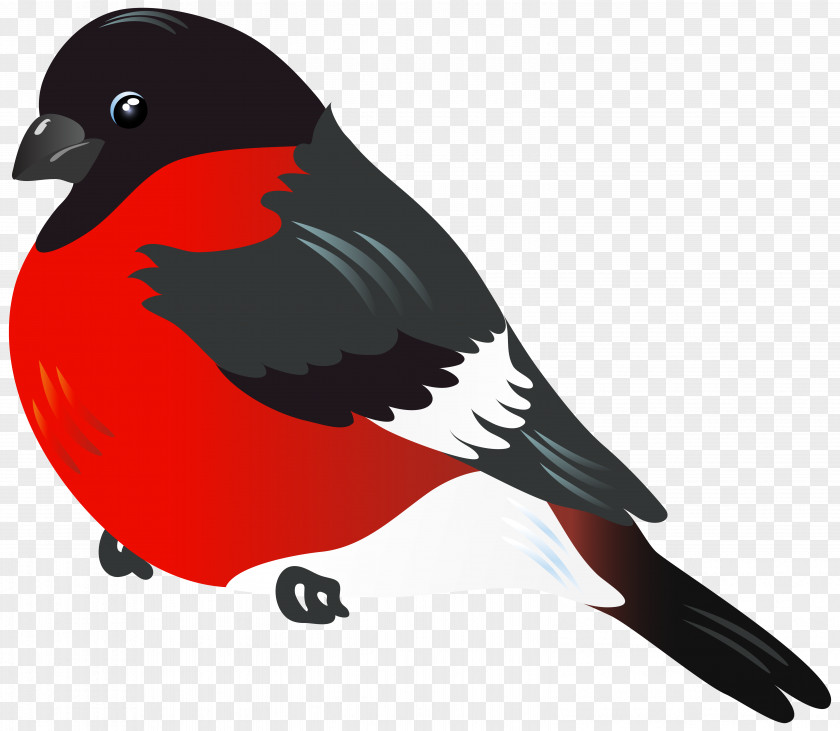 Red Bird Clipart Image Clip Art PNG