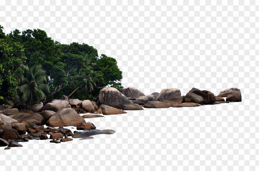 Rock Garden Shore Art Sticker PNG