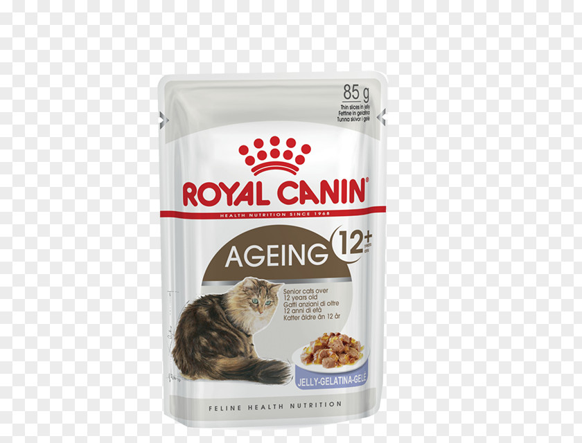Royal Canin Cat Food Dog Kitten PNG