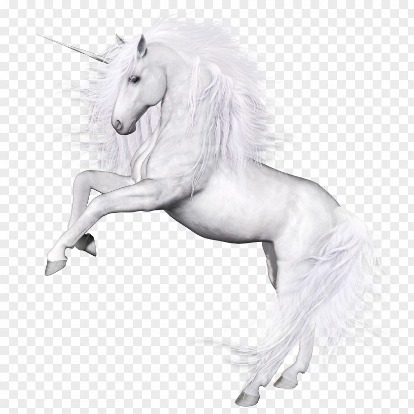 Unicorn Horse Mousepad Computer Mouse PNG