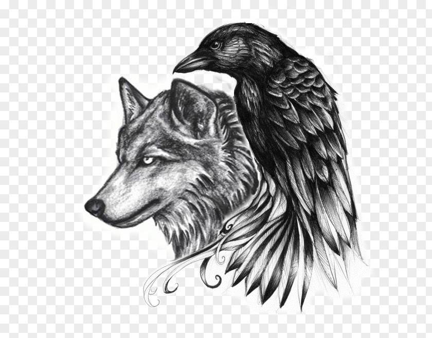 Wolf Tatoo Common Raven Abziehtattoo Crow Gray PNG