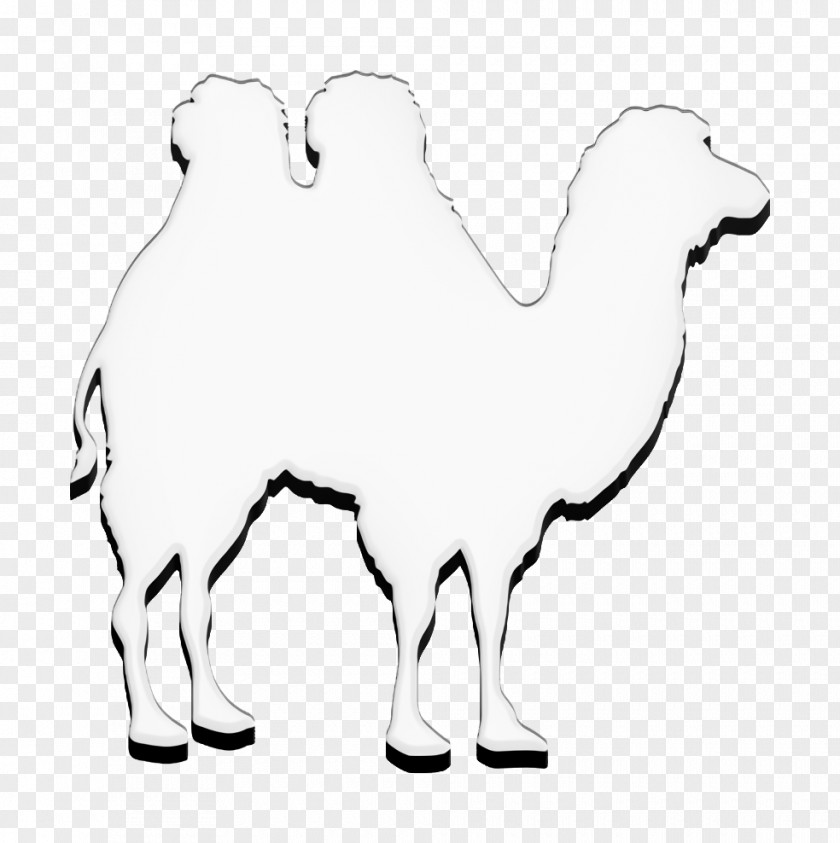 Camel Shape Icon Animals PNG