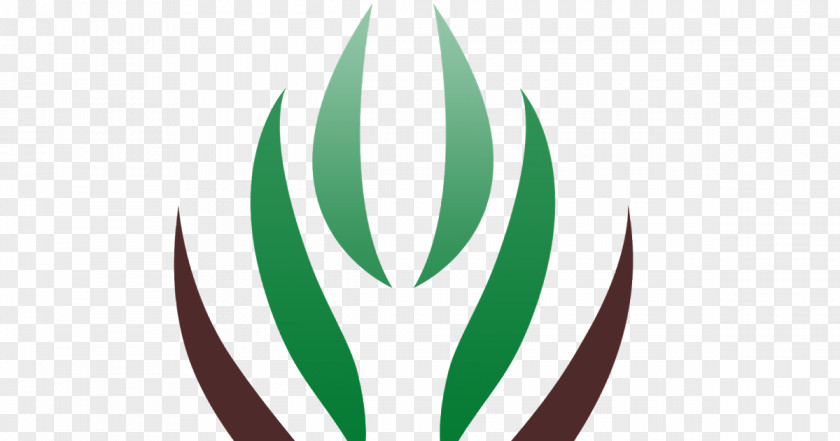 Leaf Logo Green Line Font PNG