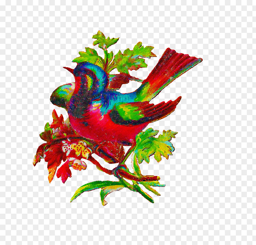 Lovebird PNG