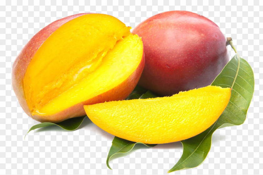 Mango Stock Photography Auglis PNG