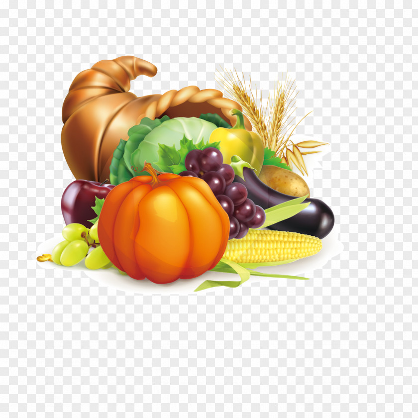 Fresh Fruits And Vegetables,Vector Diagram,Fresh Food Distribution Cornucopia Fruit Harvest Illustration PNG