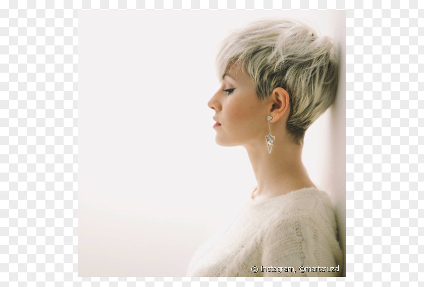 Hair Pixie Cut Hairstyle Short Cosmetologist PNG