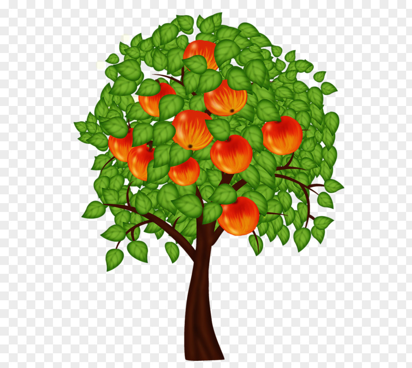 Tree Apples Fruit Crops Ornamental Plant PNG