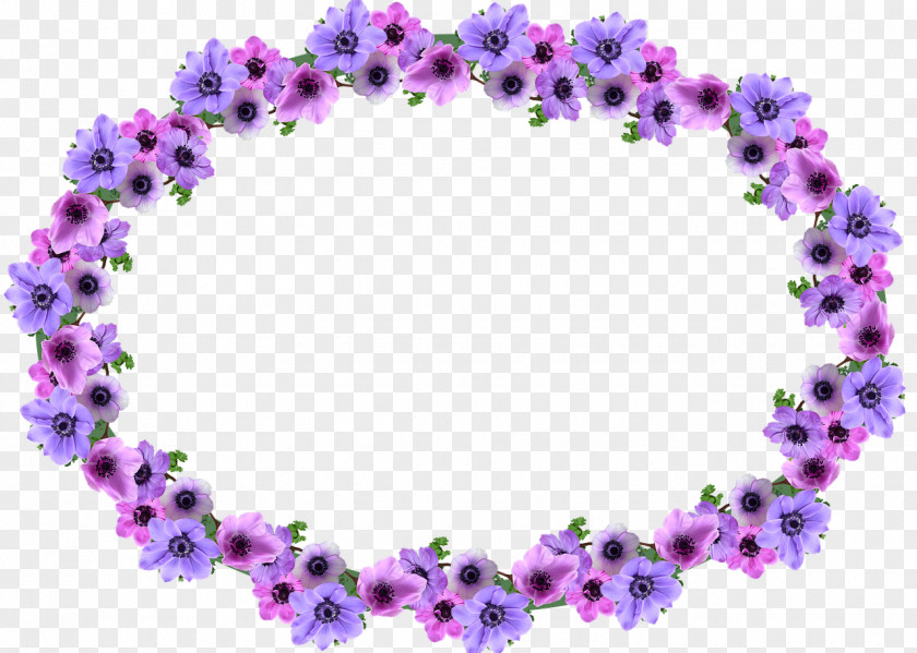 Anemones Frame Video Games Image Photograph Download Poster PNG