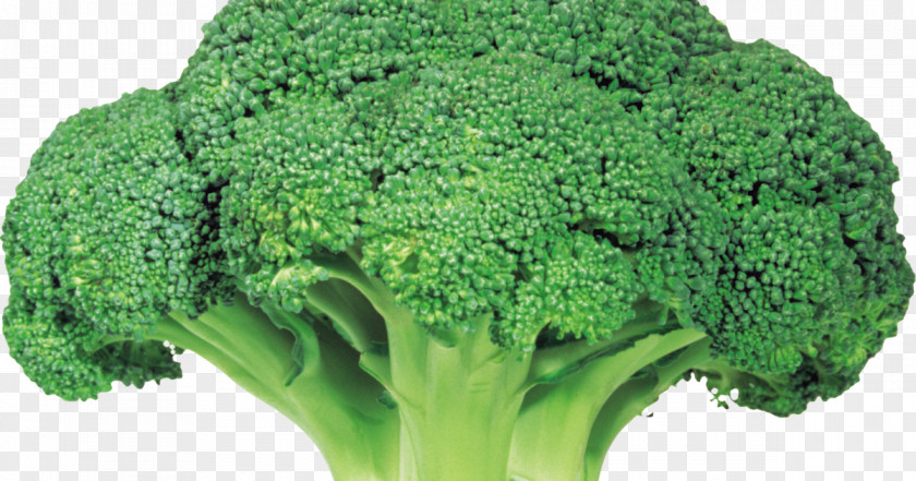 Broccoli Vegetable Rapini Food PNG