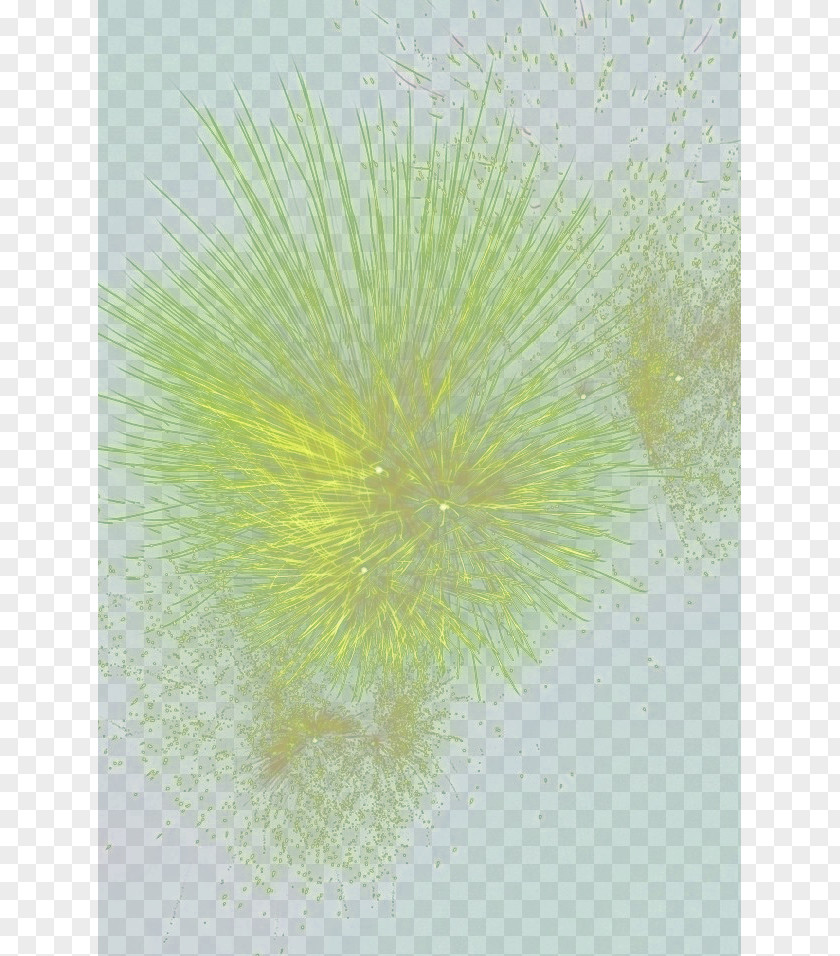 Fireworks Petal Green Dandelion Wallpaper PNG