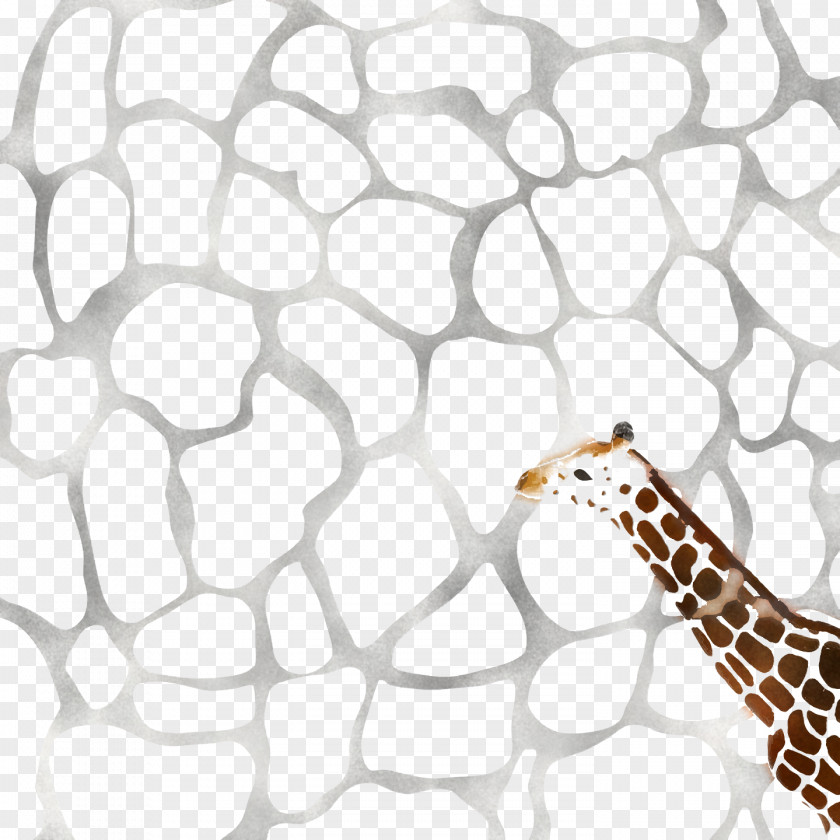 Giraffe Pattern Line Area Terrestrial Plant PNG