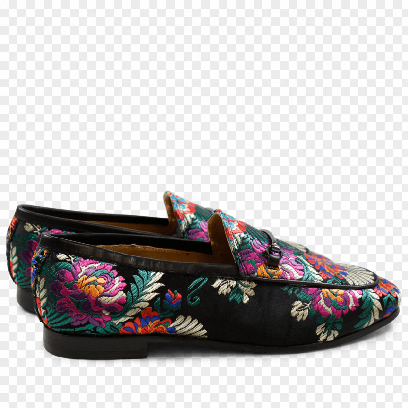 Hlal Slip-on Shoe Slipper Cockatiel Walking PNG