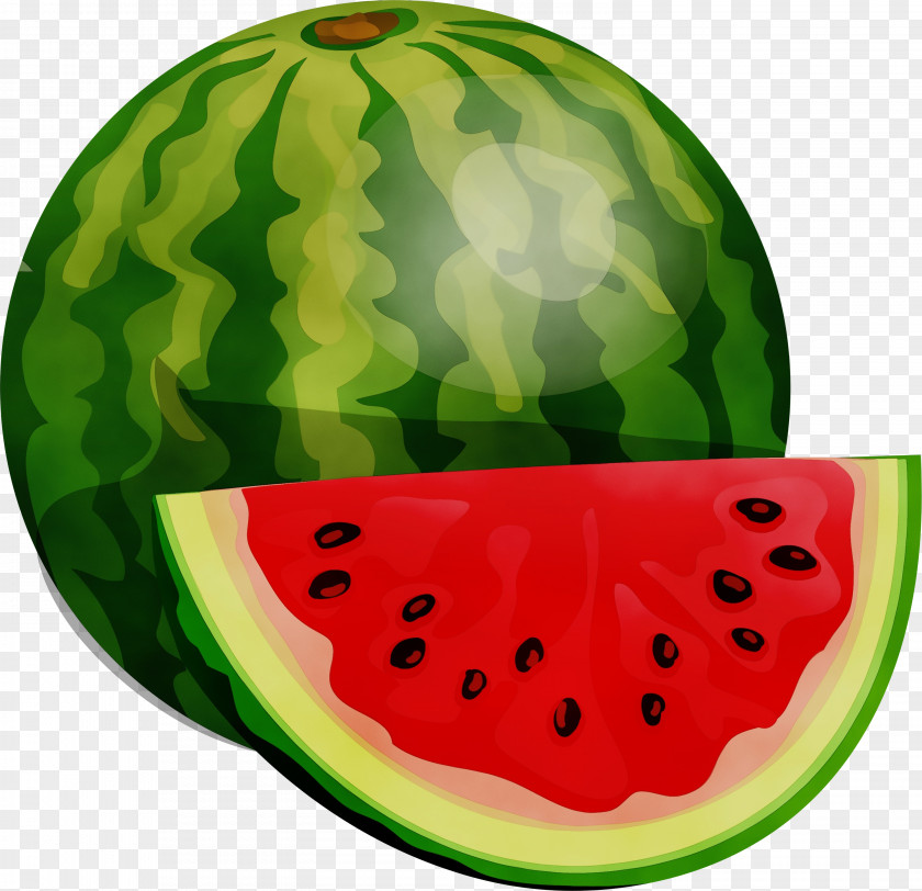Seedless Fruit Plant Watermelon Cartoon PNG