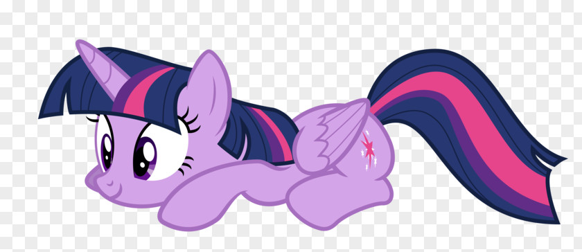 Unicorn Twilight Sparkle Rarity Pinkie Pie Applejack Rainbow Dash PNG