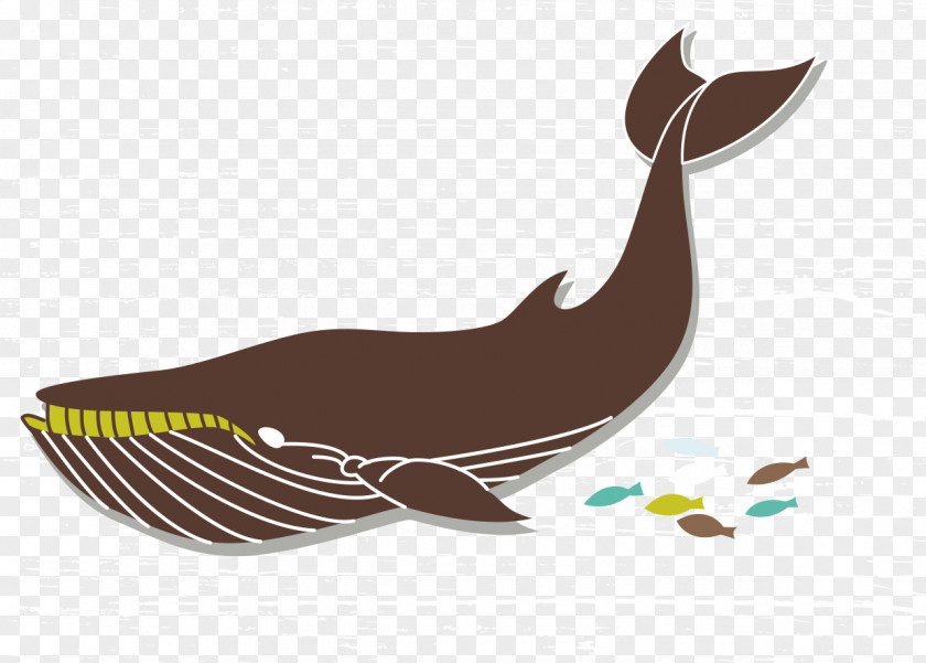 Whale Euclidean Vector Drawing PNG