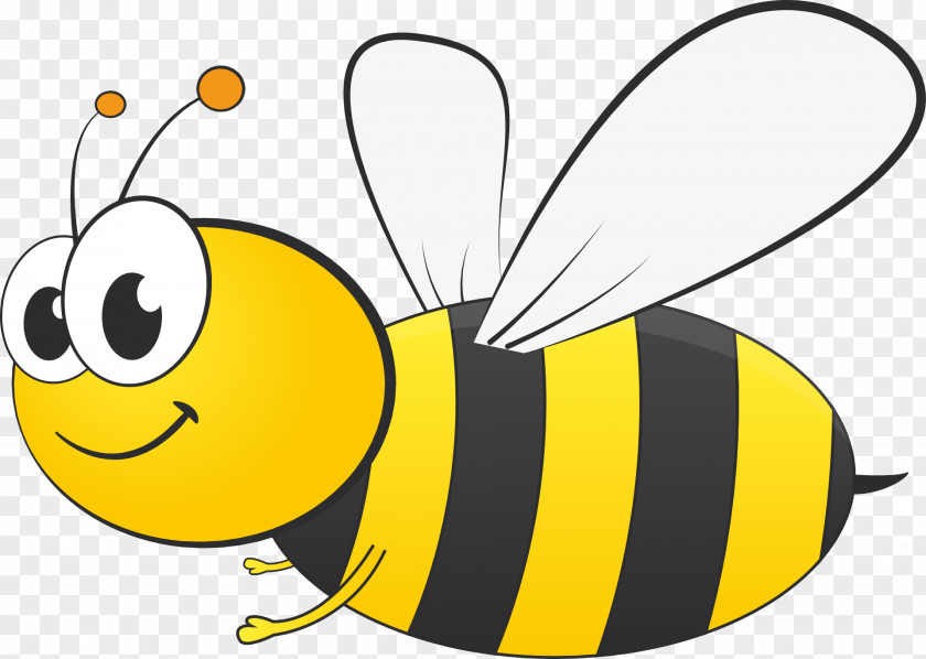 Cartoon Bee Student Scripps National Spelling School PNG