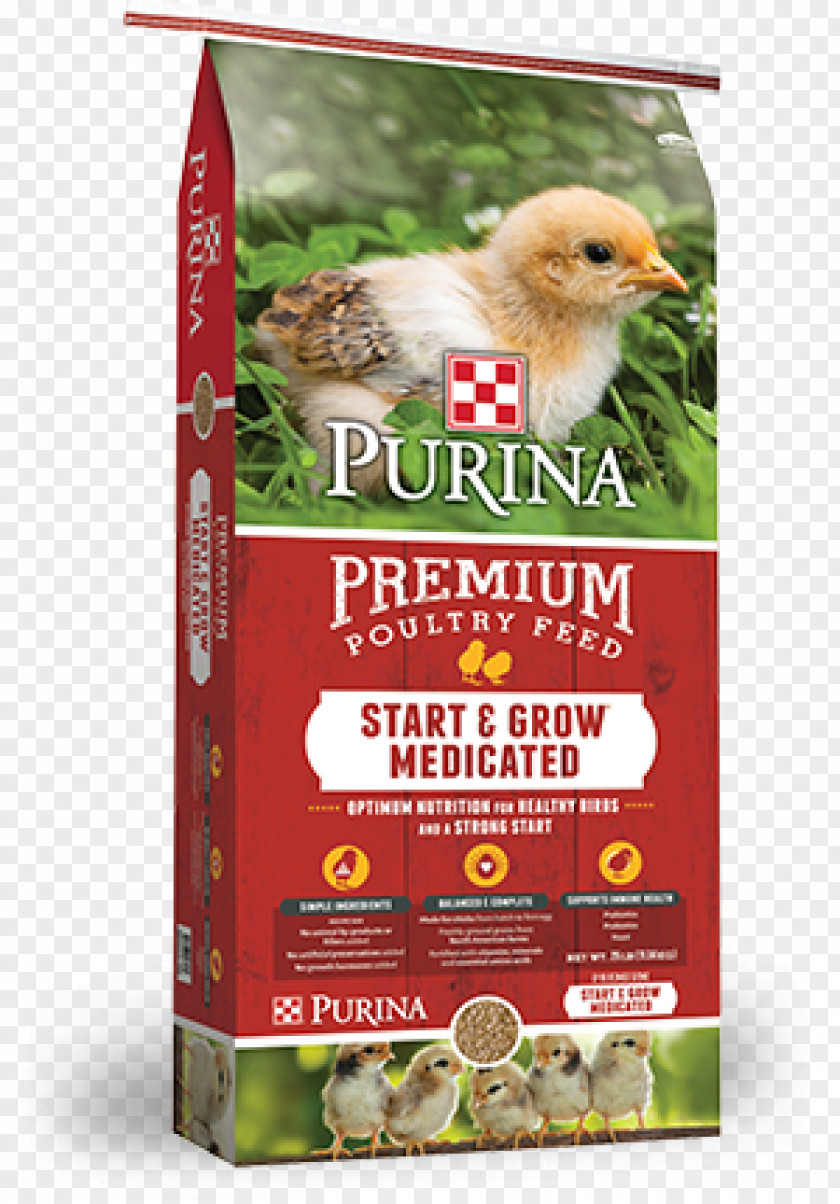 Chicken Poultry Feed Purina Mills Land O'Lakes PNG