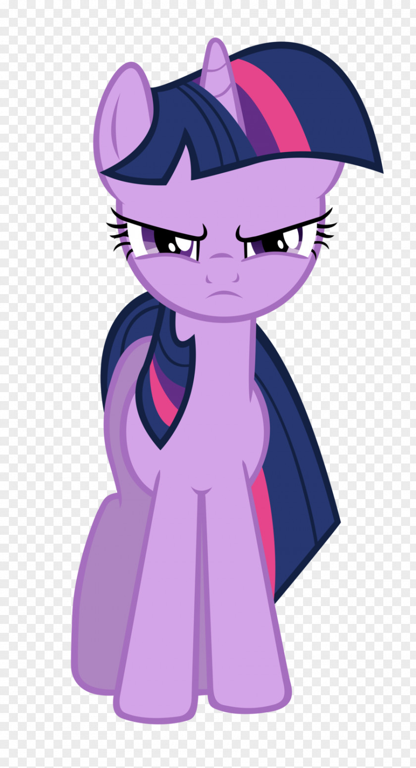 Magical Sparkles Twilight Sparkle Rarity Pony Applejack Pinkie Pie PNG