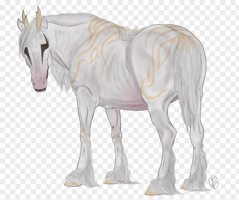 Mustang Mane Foal Stallion Mare PNG