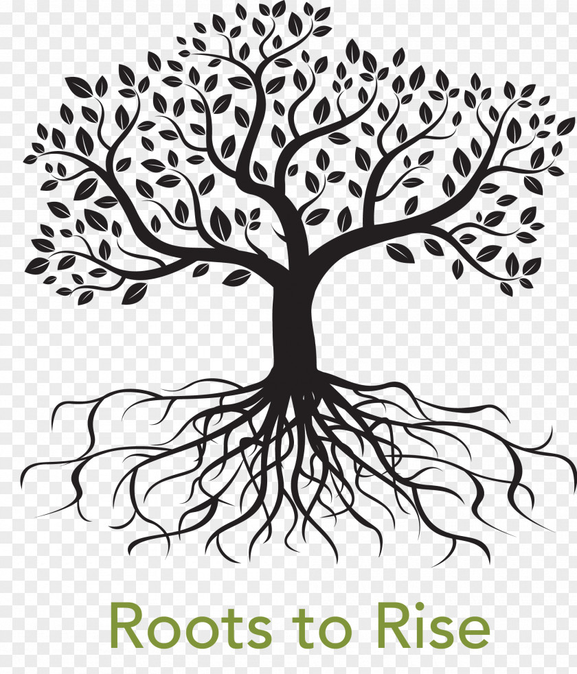 Root Tree Drawing Royalty-free PNG