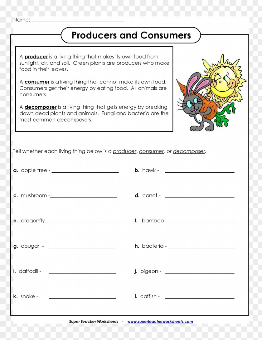 Best Teacher Primary Producers Consumer Decomposer Food Chain Worksheet PNG