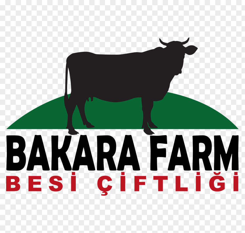 Dairy Cattle Logo Ox Goat PNG