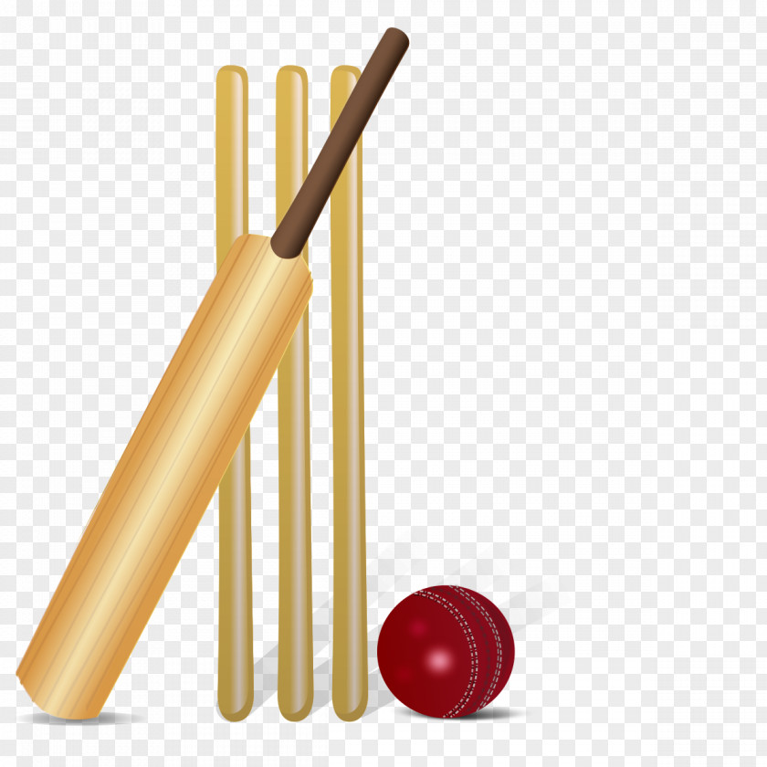 Gnokii Cricket Bats Balls Batting Clip Art PNG
