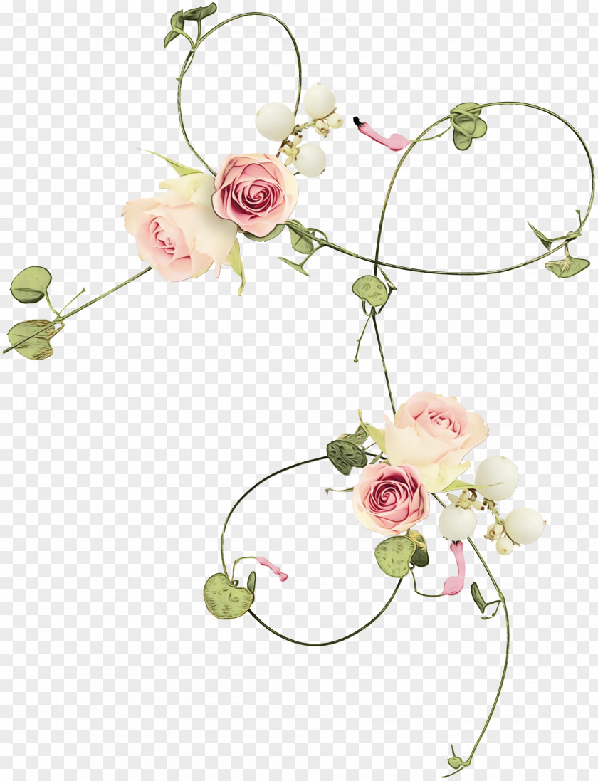 Plant Stem Petal Floral Design PNG
