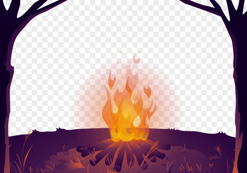 Bonfire At Night PNG