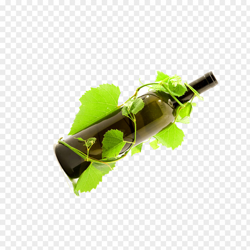 Bottle Wine Leaf Green PNG