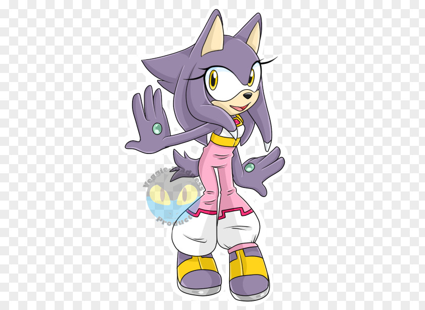 Child Amy Rose Shadow The Hedgehog Silver Blaze Cat Sonic Dash PNG