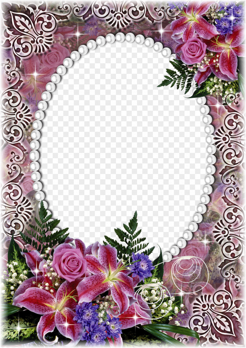 Mood Frame Pictures Picture Flower PNG