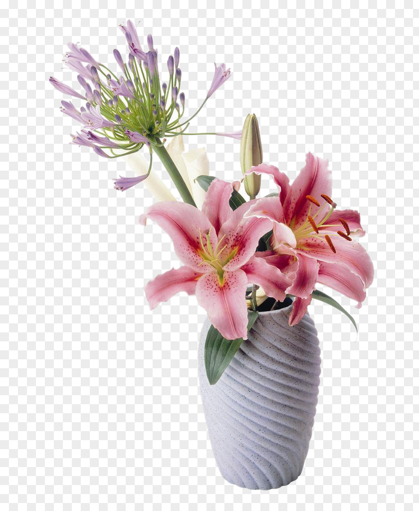 Table Lily Flower Picture Material Lilium Drawing PNG