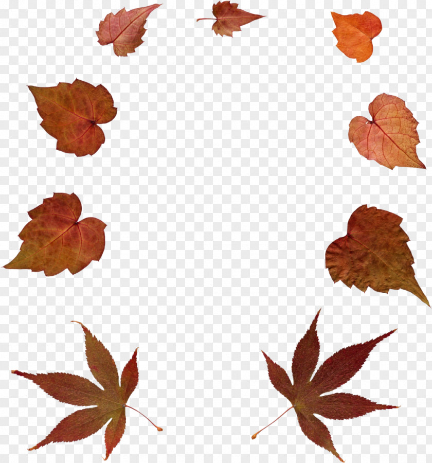 Autumn Stock Photography Clip Art PNG
