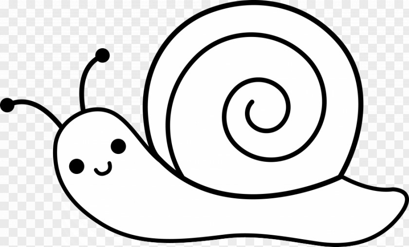 Cartoon Snail Drawing Molluscs Clip Art PNG