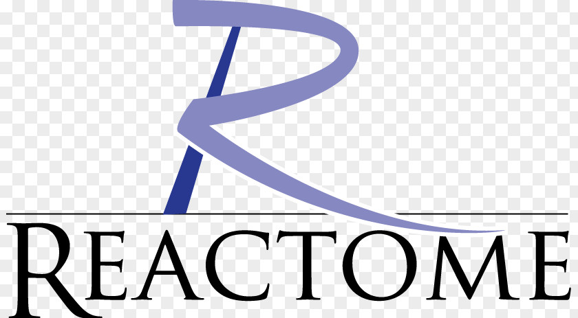 Design Logo Font Reactome PNG