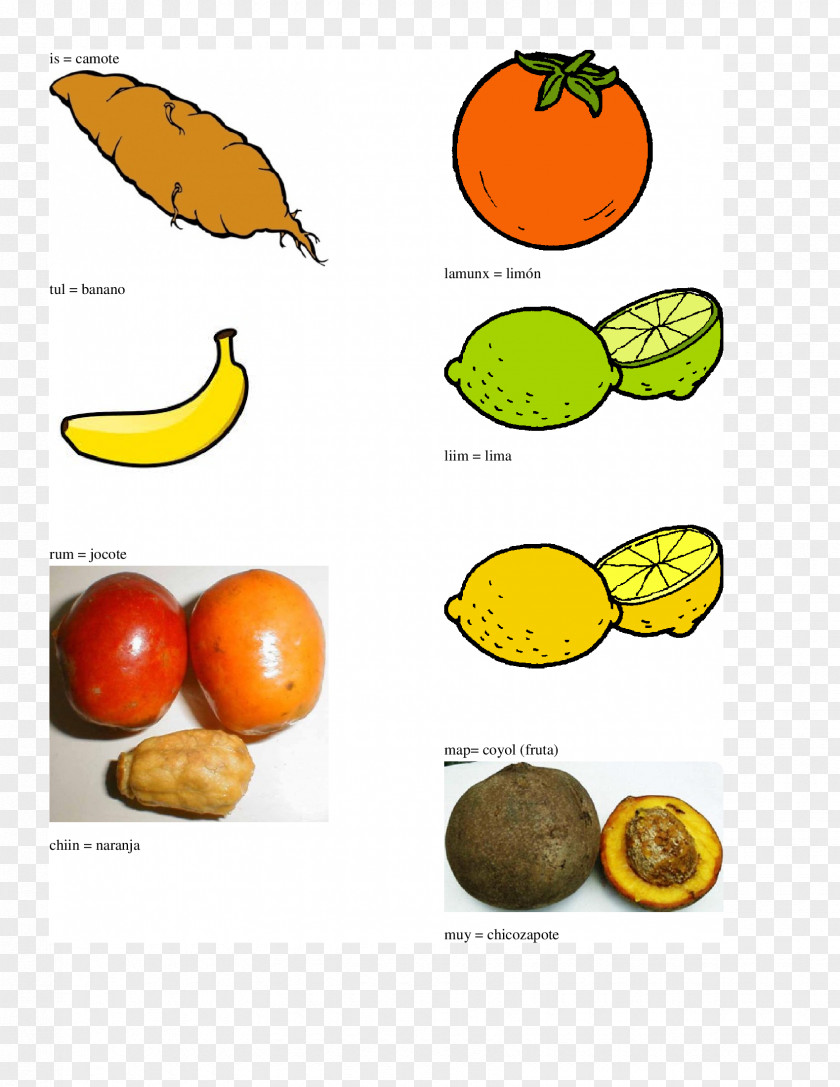 Orange Tangerine Tangelo Vegetarian Cuisine Q'eqchi' Language PNG