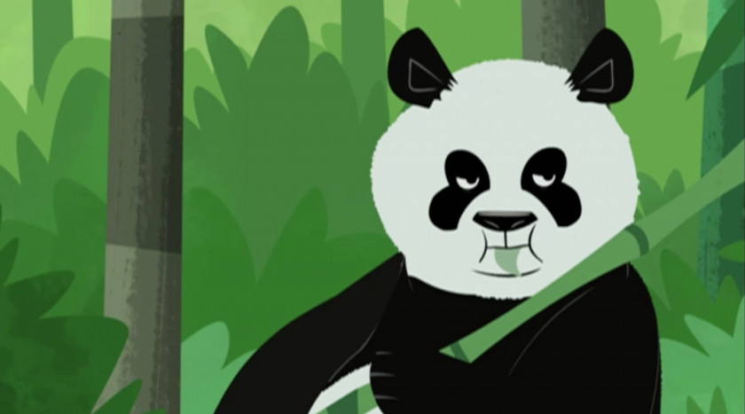 Panda Giant Wikia Animal Snout PNG