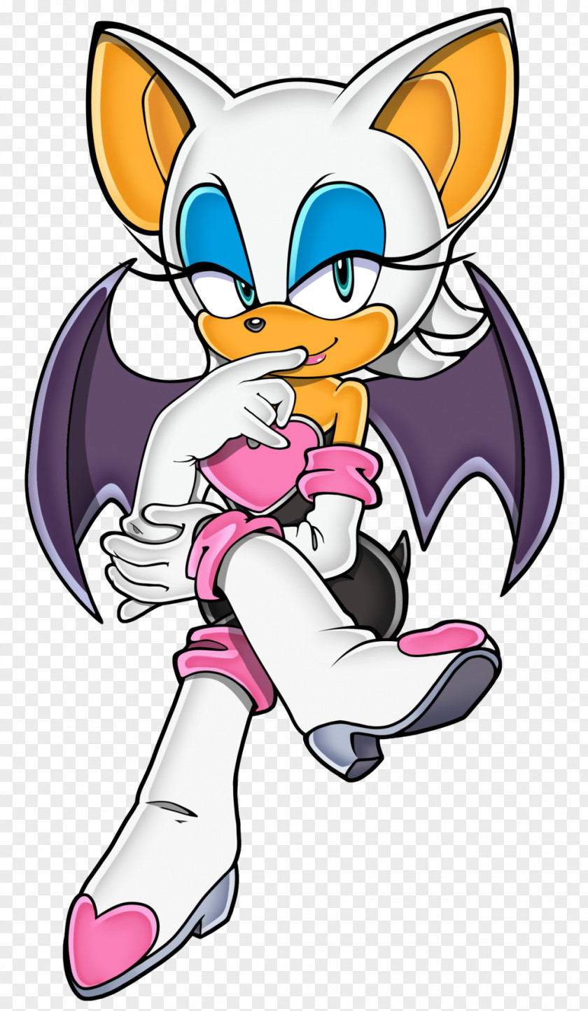 Sonic The Hedgehog Rouge Bat Adventure 2 Battle Amy Rose Ariciul PNG