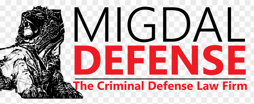 Criminal Defense Lawyer Migdal Crime PNG