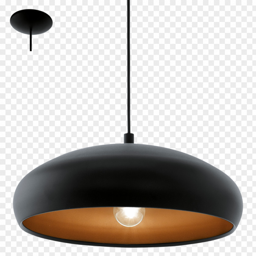 Fancy Ceiling Lamp Pendant Light Edison Screw Color PNG