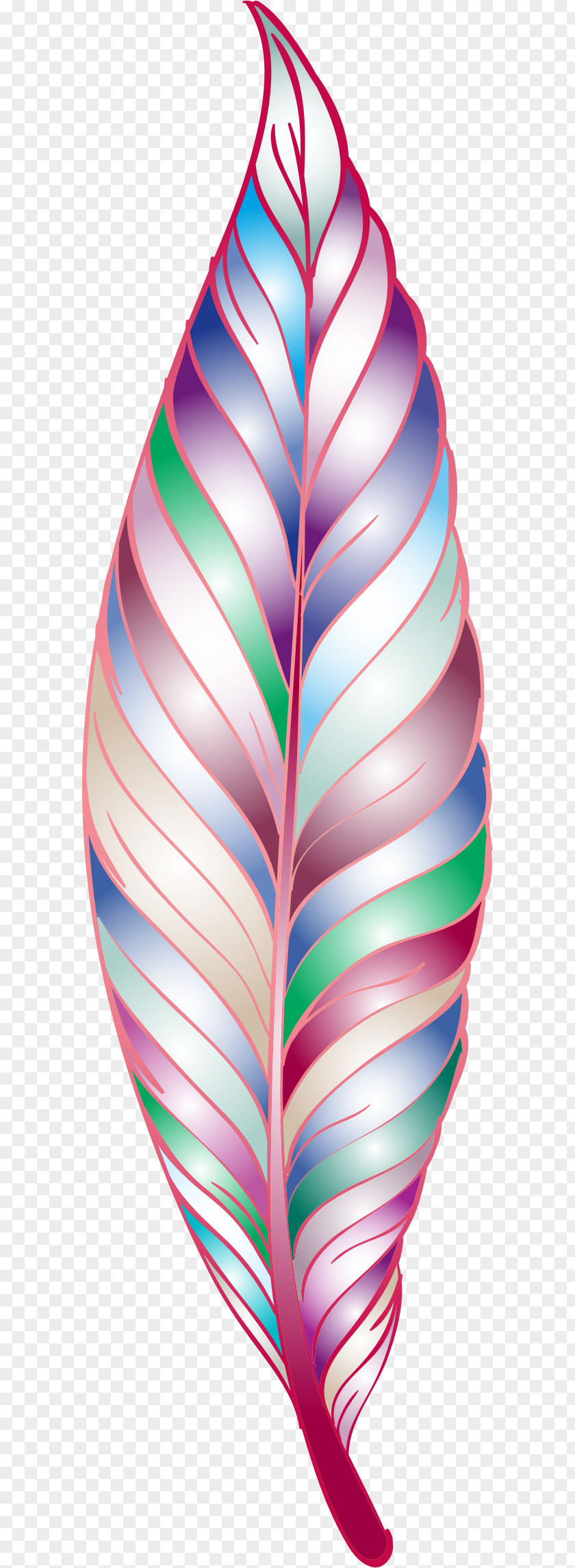Feather Clip Art PNG