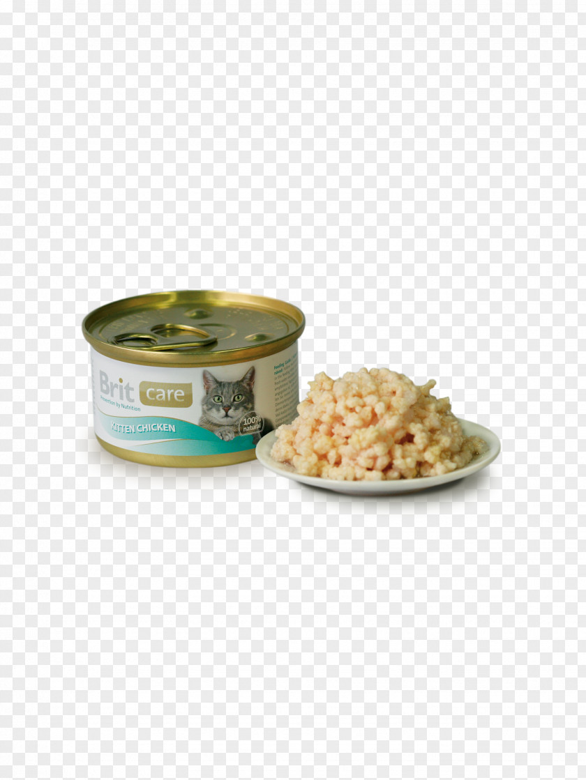 Kitten Cat Food Persian Canning Fodder PNG