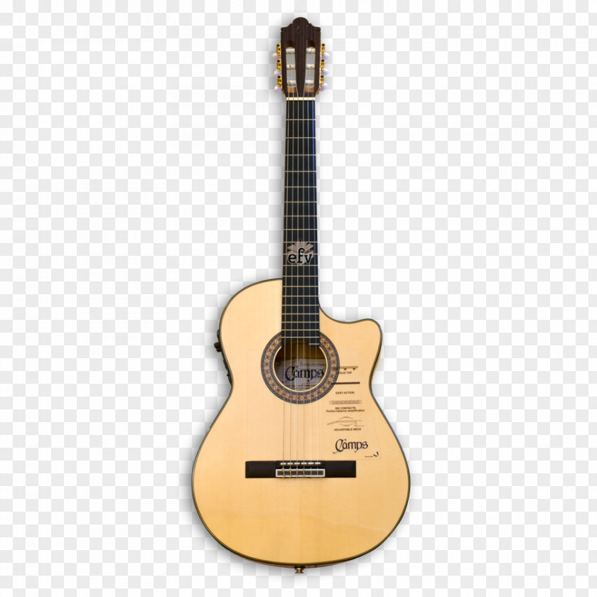 Acoustic Guitar Acoustic-electric Ovation Company Classical PNG