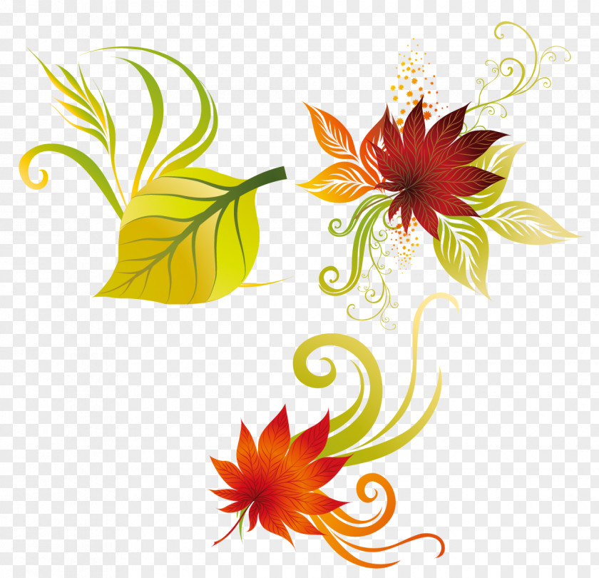 Autumn Cartoon Leaves Leaf Floral Design Petal Clip Art PNG