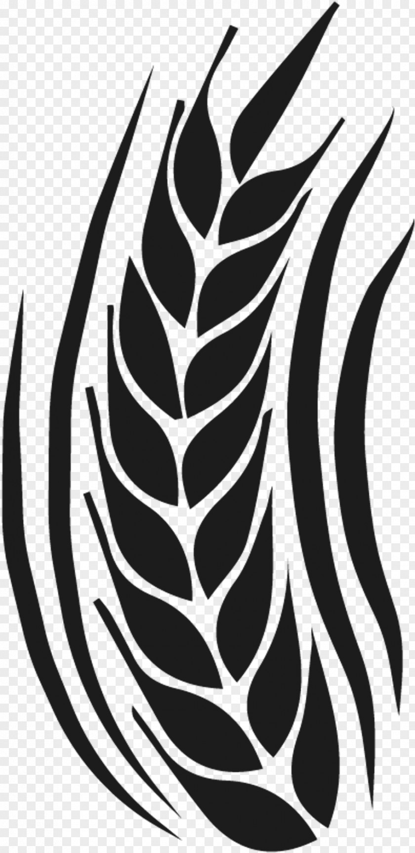 Black-and-white Leaf Pattern Plant Vascular PNG