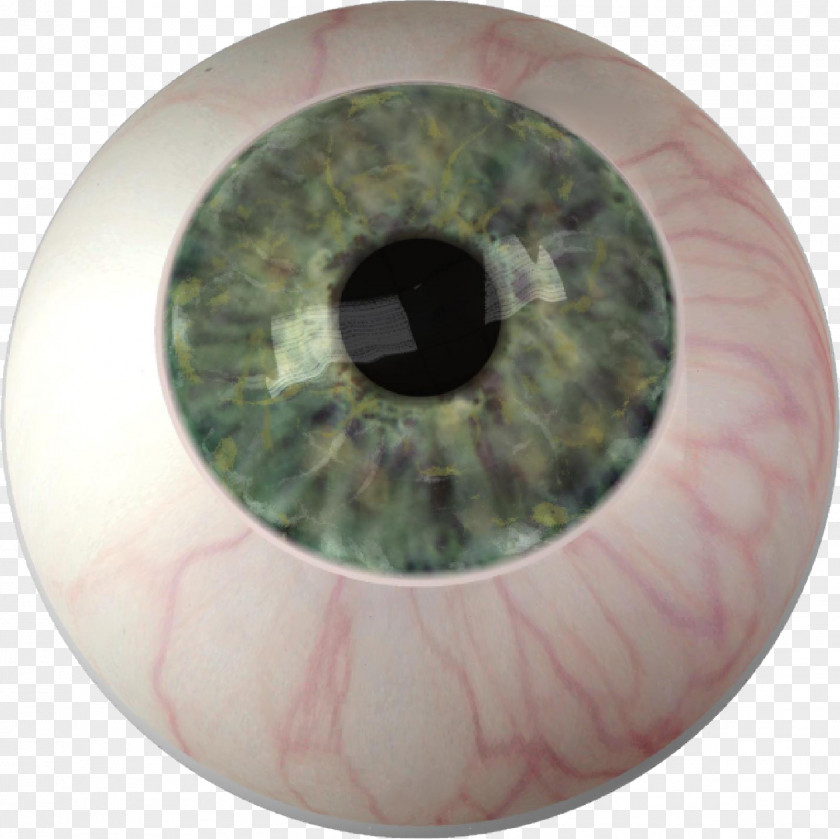 Eye Iris Color Ocular Prosthesis PNG