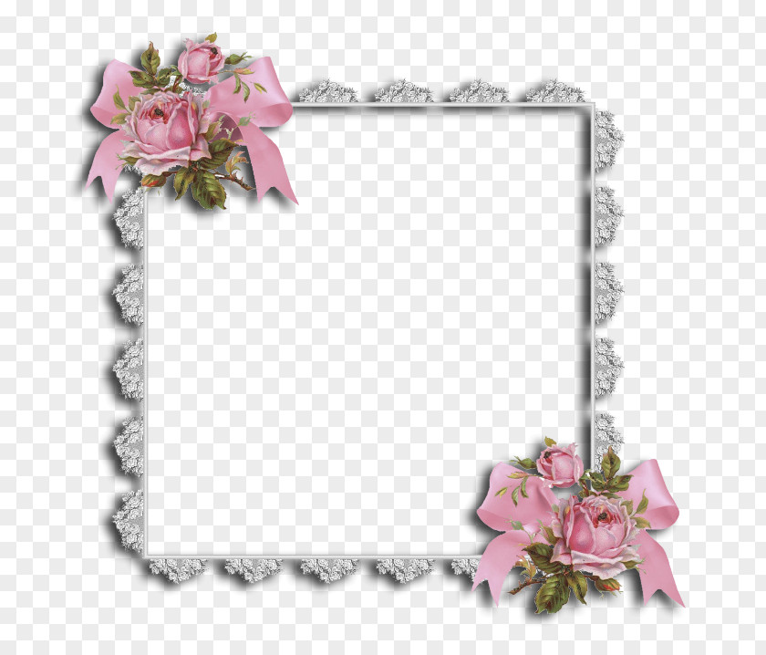 Flower Floral Design Cut Flowers Picture Frames Rose PNG